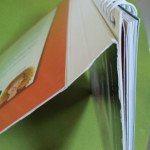 Concealed Wire Softcover